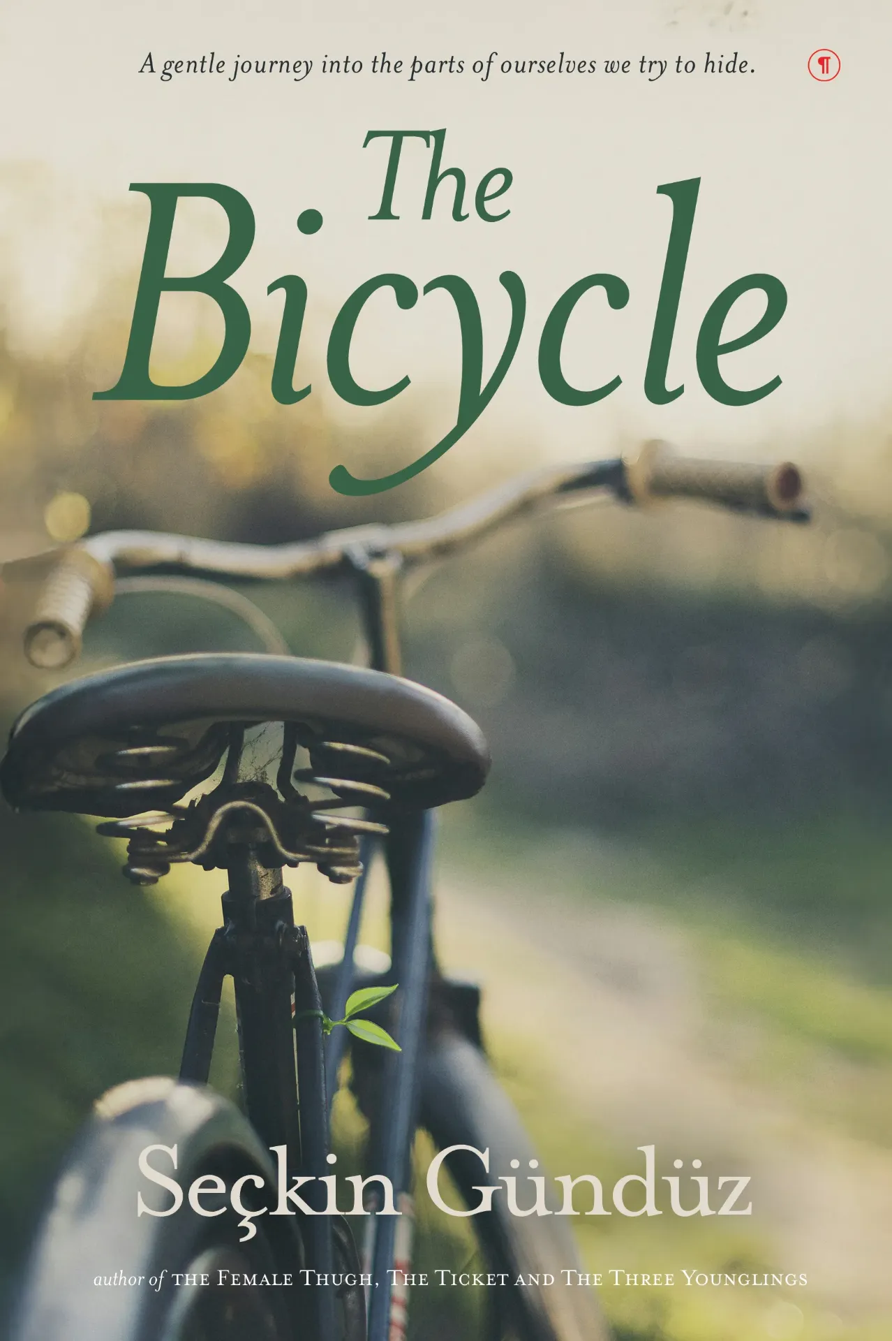 The Bicycle, Seçkin Gündüz